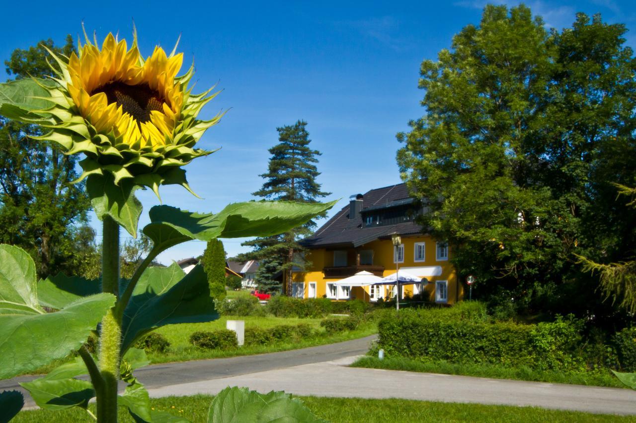 Landgasthof Zum Betenmacher Thalgau Zewnętrze zdjęcie